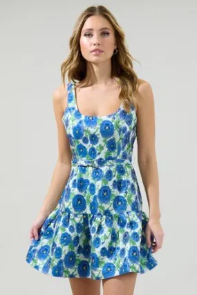 Blue Jay Dress