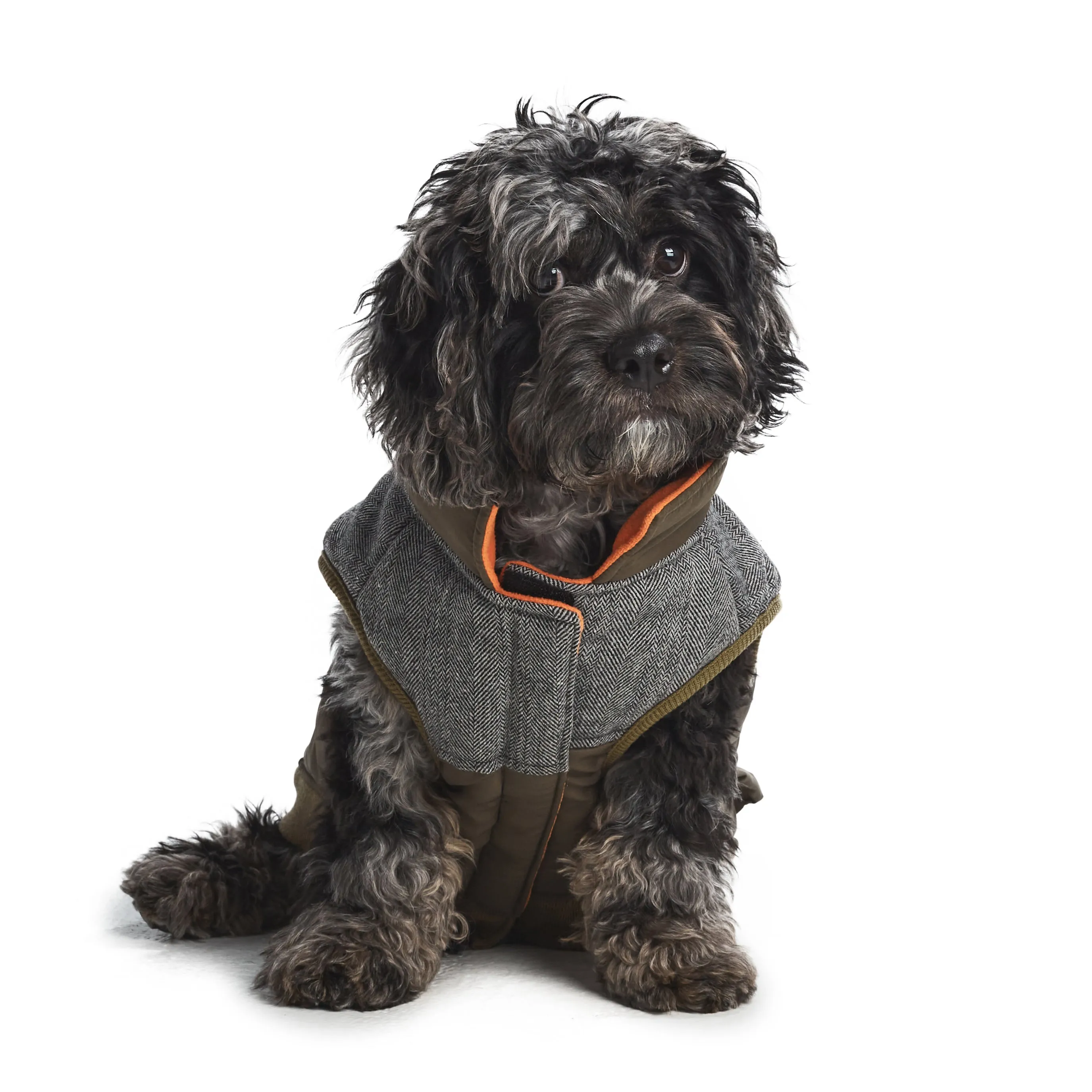 Hotel Doggy Multi-Pocket Utility Coat